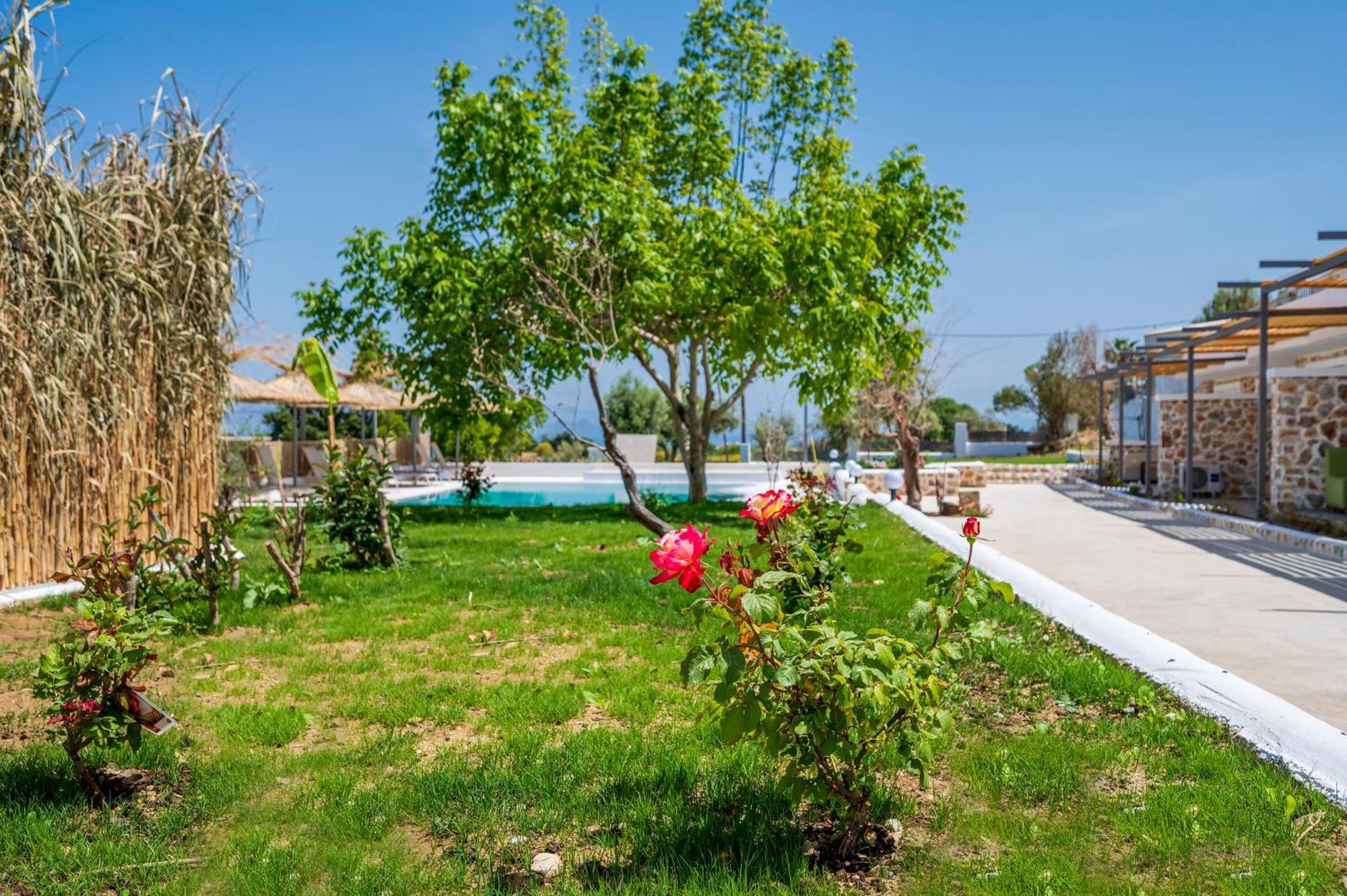Homes Eva'S Garden, Poolside Cozy Havens In Kos Agios Dimitrios  Extérieur photo